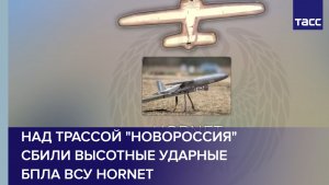 Над трассой «Новороссия» сбили высотные ударные БПЛА ВСУ Hornet