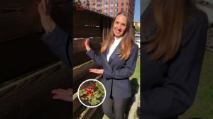 Каменное дерево для забора
