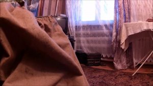 ПОНЯГА