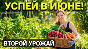Двойной Урожай За Одно Лето:Что можно Успеть посадить в Июне в Огороде