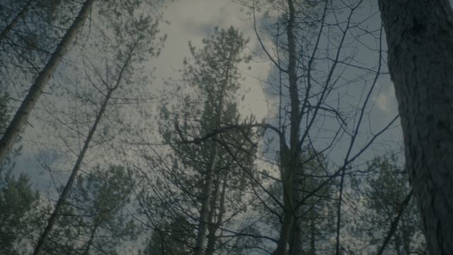 Незнакомец (Незнакомка)