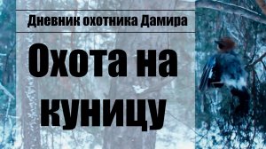 Охота на куницу с капканом