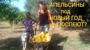 116. ЖИЗНЬ СЕМЬИ на ХУТОРЕ. ОДИН ДЕНЬ в СЕНТЯБРЕ.