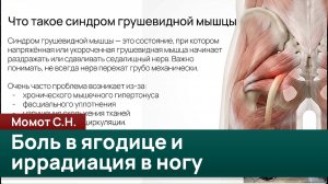 Введение в проблему болей в области ягодиц и иррадиации в ногу. Момот С. Н.