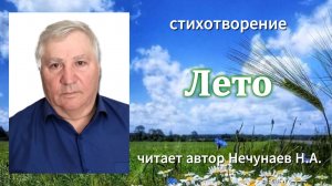 стихотворение «Лето» читает автор Нечунаев Н. А.