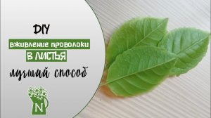 БЕДА С ЛИСТЬЯМИ? ДЕЛАЙ КАК Я! Проволоки не видно! Холодный фарфор. Полимерная глина. ใบดินโพลิเมอร์