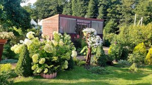 Старая клумба заиграла новыми красками👌🌲🌸 #любимаядача