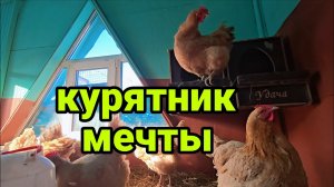 Как устроен курятник, в котором  всегда сухо и чисто. Необычная идея выгула для кур.