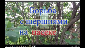 Борьба с шершнями и осами на пасеке с помощью пластиковых бутылок