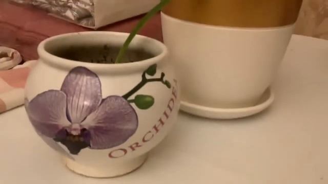 ПОКУПКИ ДЛЯ ДОМА С ИКЕА смотреть онлайн