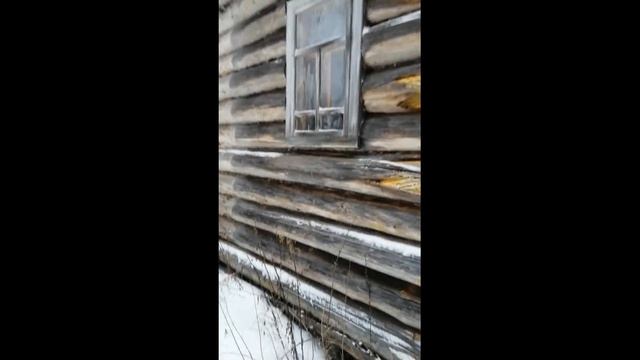 дом 200 лет из подсоченой сосны высушенной на корню смотреть онлайн