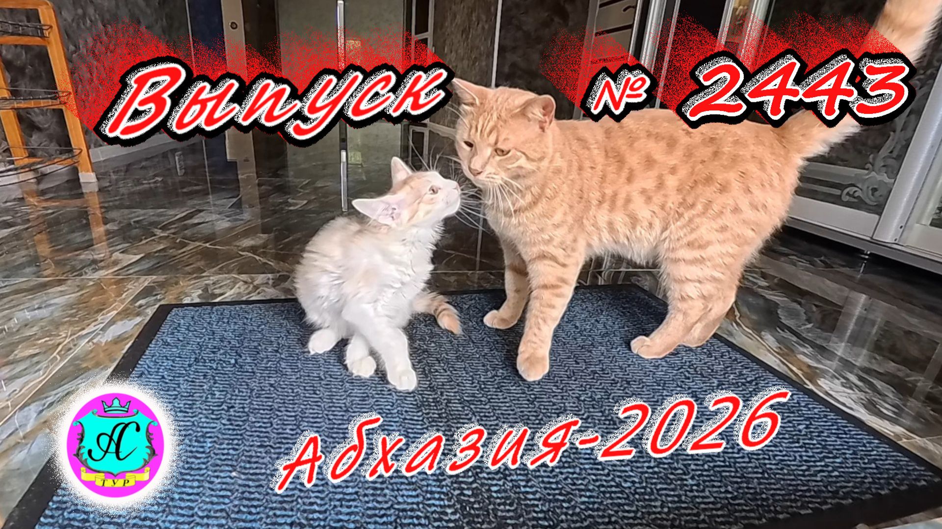 #Абхазия2026🌴 30.06.26г.🔥 Выпуск № 2443❗вчера +26°🌡ночью +20°🌡море +24,1°🐬 смотреть онлайн
