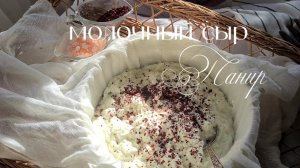 Готовим молочный сыр Панир ( аналог Кесо Бланко)
