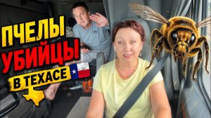 КАК ВЫЖИВАЮТ РУССКОЯЗЫЧНЫЕ ДАЛЬНОБОЙЩИКИ В КАНАДЕ: Опять в Техас дальнобой по сша и Канаде июнь 2026