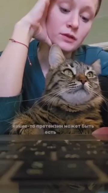 Внимательно🤦
- Наташа, значит нужно устраиваться тебе еще и на вторую работу, правда? ❔