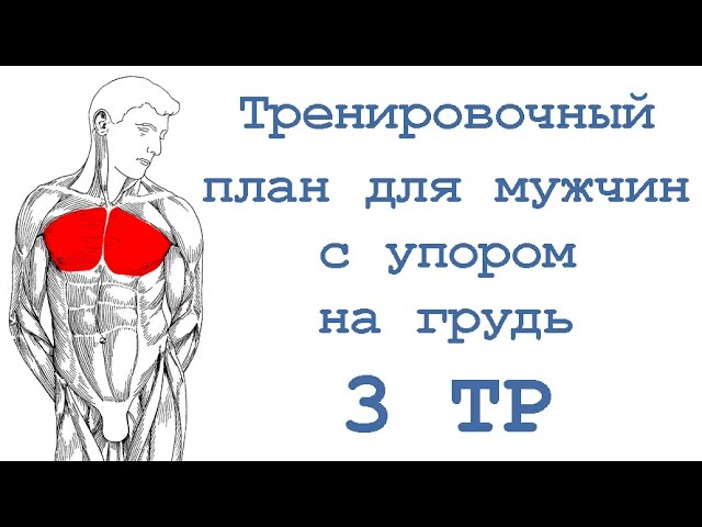Тренировочный план для мужчин с упором на грудь (3 тр) смотреть онлайн