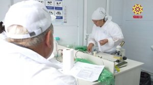 В Чувашии определили лучших операторов искусственного осеменения КРС
