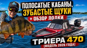 ПОЛОСАТЫЕ ГОРБАЧИ ЗАГИБАЮТ СПИННИНГ + ОБЗОР МОЕЙ ЛОДКИ! ТРИЕРА 470 (модель 2026 года)