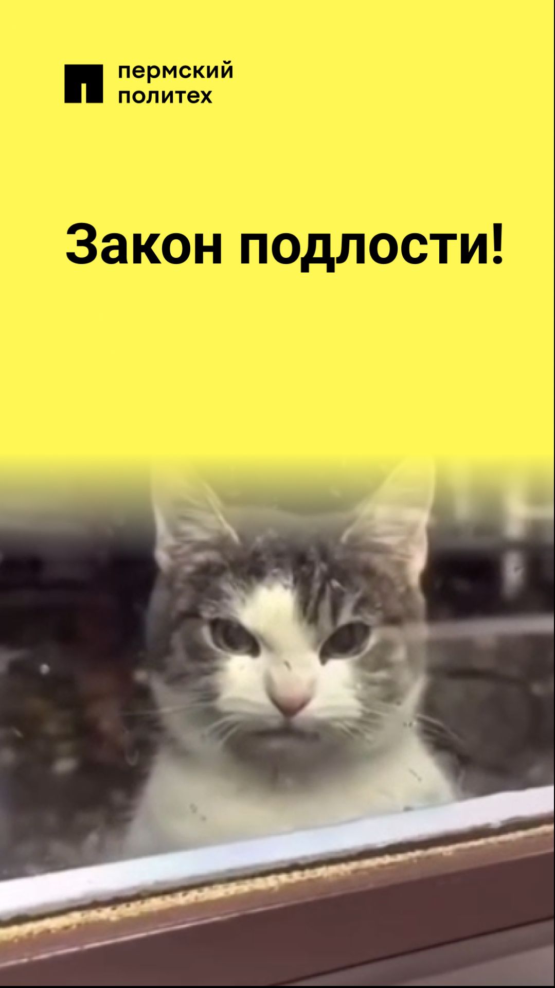 Закон подлости!