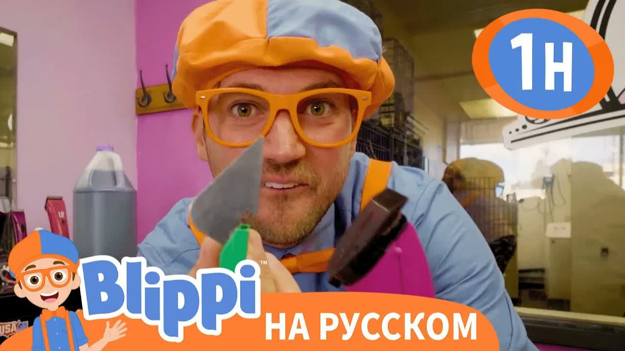 Приключение «Лапы и игра» _ Изучай этот мир _ Обучающие видео для детей _ Blippi смотреть онлайн