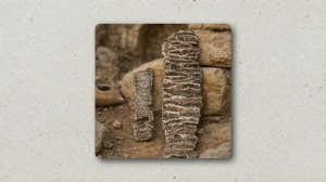 Этот Металл НЕ Ржавеет 1500 Лет! Ученые Сдались Объяснять Феномен.