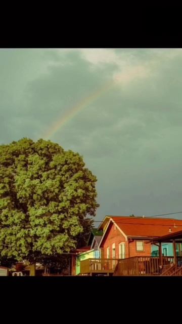 🏘️🌳🌬️