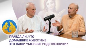 Правда ли, что домашние животные это наши умершие родственники? | «Бхагавад-гита как она есть»