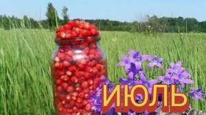 Июль пришел -время для приключений. Шикарная музыкальная открытка.