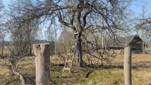 Живу один на хуторе, навожу порядок на участке