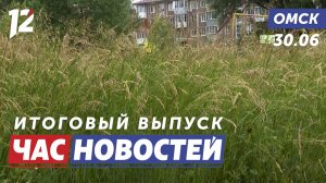 Заросшие улицы / Сносят заброшенное кафе / Парашютный спорт. Новости Омска