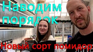 Новый сорт томатов в нашей деревне. Наводим порядок на участке Еще больше рассады