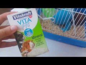 Что едят джунгарские хомяки? ВИТАМИНЫ ДЛЯ ХОМЯКОВ   Hamsters Food אוכל לאוגר