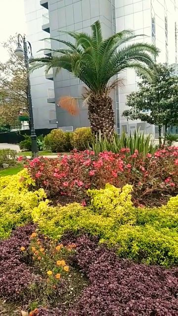 #shots# Travel Sochi Russia🇷🇺 l Моя Россия#шаман#рекомендации #подпишись#новостисегодня#путешестви