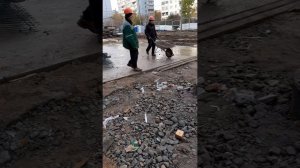 ООО крост