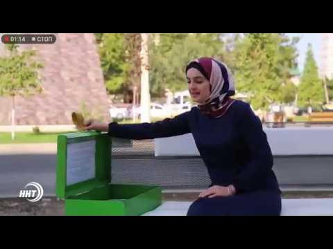 Необычные скамейки в Махачкале смотреть онлайн