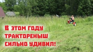 Пережил ли наш тракторишка этот сенокос или снова сломался?