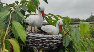 Плетем гнездо с аистами из ротанга
