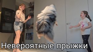 Невероятные прыжки .mp4