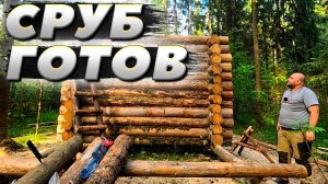 Сруб готов | ЛЕСНОЙ ДОМ | ИЗБА | FOREST HOUSE | DUGOUT | HUT