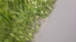 Заброшка часть 1