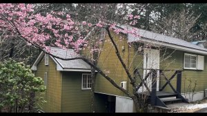 Дом в Японии за копейки!!! / Cheap house in Japan
