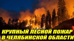 Крупный лесной пожар бушует в Челябинской области