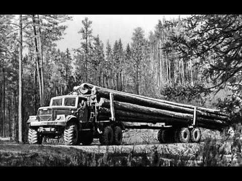 Лесозаготовки От самых истоков.