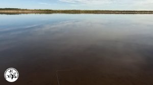 Спиннинг сентябре с другом