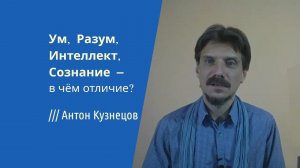 ranok253} Что такое ① Ум, ② Разум, ③ Интеллект, ④ Рассудок, ⑤ Сознание❓ В чём различие  «на яблоках»