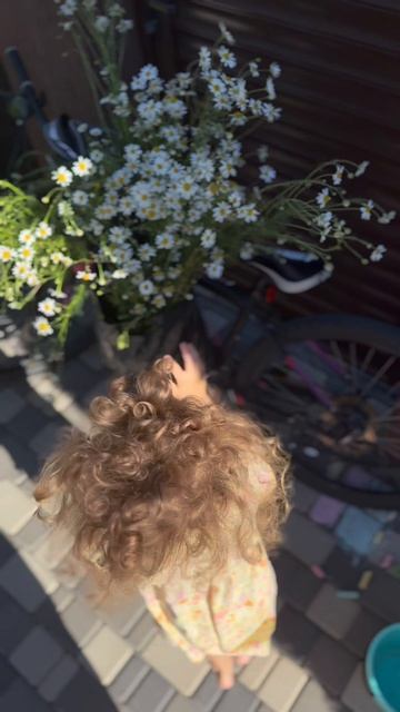 Саша и ромашки 🌸