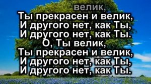 Прихожу к Тебе я  /  Невская Христианская Миссия