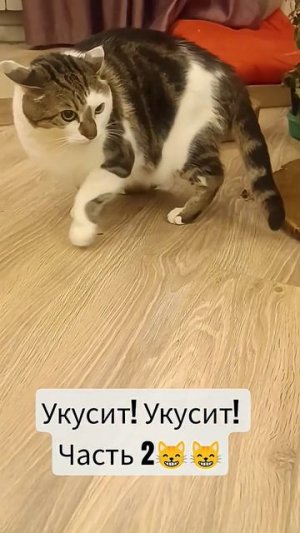 Укусит! Укусит! Часть 2🙀🙀