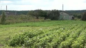 В Ярославском регионе упростили получение земли для семей участников СВО