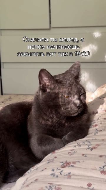 Сначала ты молод, а потом... #мем
